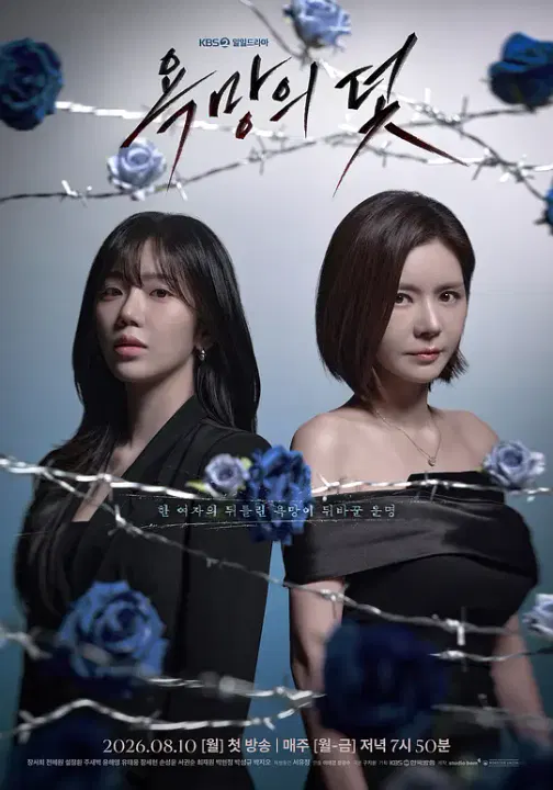 【韩国剧】欲望的陷阱