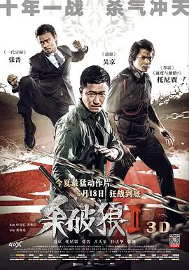 【动作片】杀破狼2(粤语)