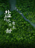 【记录片】盐的尽头有点甜
